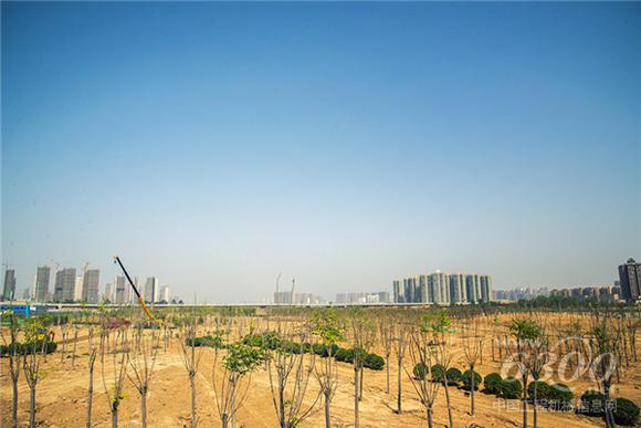 郑州探寻首批<a href=//product.d1cm.com/brand/xcmg/ target=_blank>徐工</a>G一代车主（四）